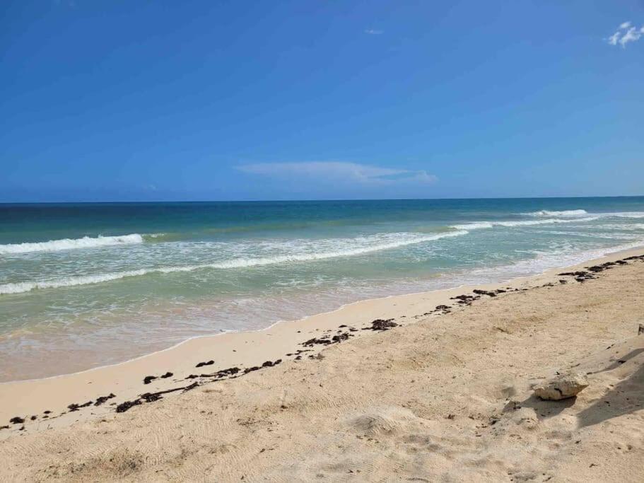 Luxury 5-Br Beachfront Home In Tulum Casa Sofia Gato Eksteriør billede