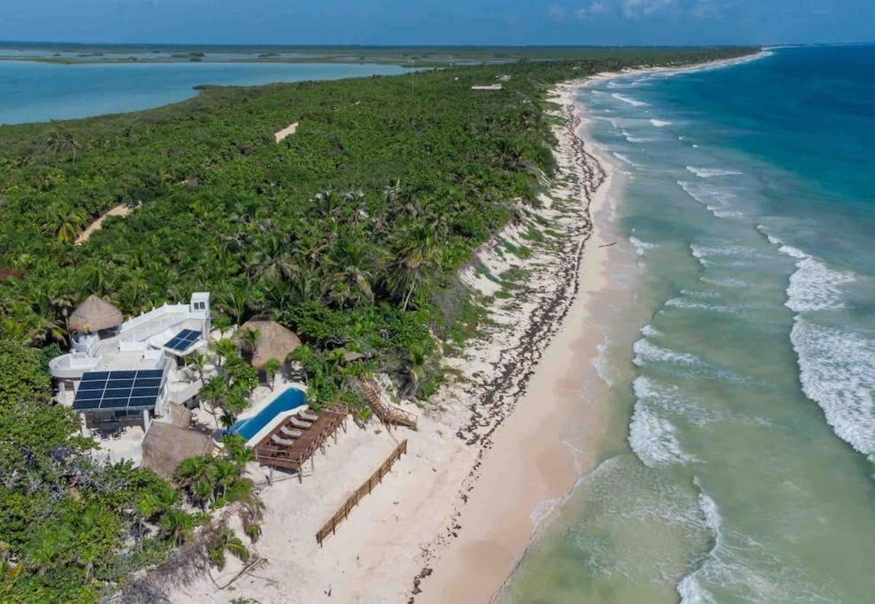 Luxury 5-Br Beachfront Home In Tulum Casa Sofia Gato Eksteriør billede