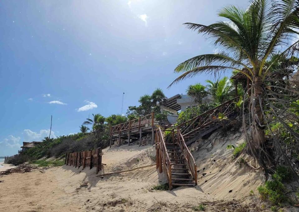 Luxury 5-Br Beachfront Home In Tulum Casa Sofia Gato Eksteriør billede